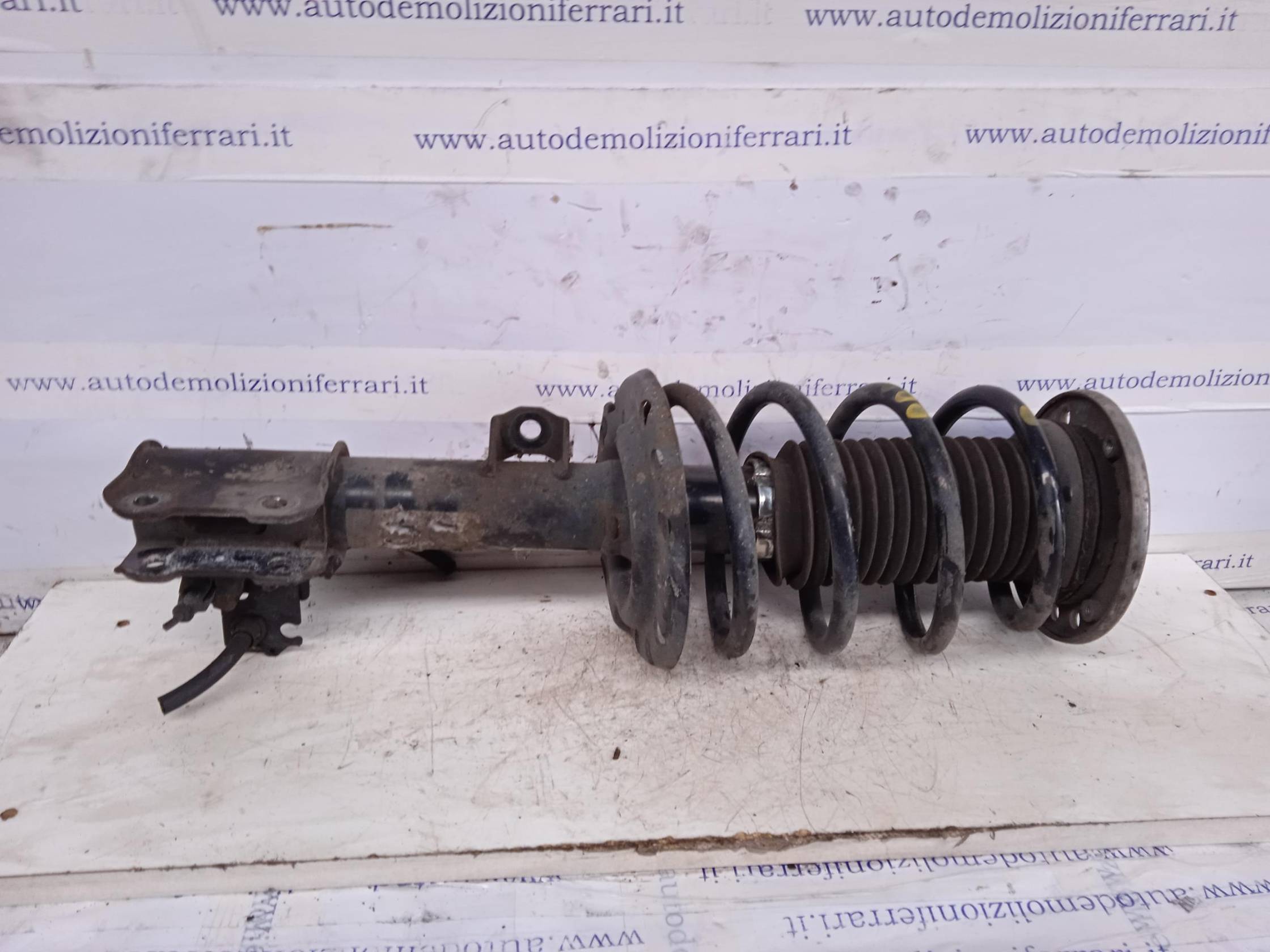 Ammortizzatore ant. sx.